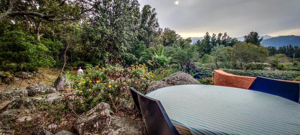 Residence Les Jardins De Sainte-Lucie "Piscine Chauffee" 外观 照片