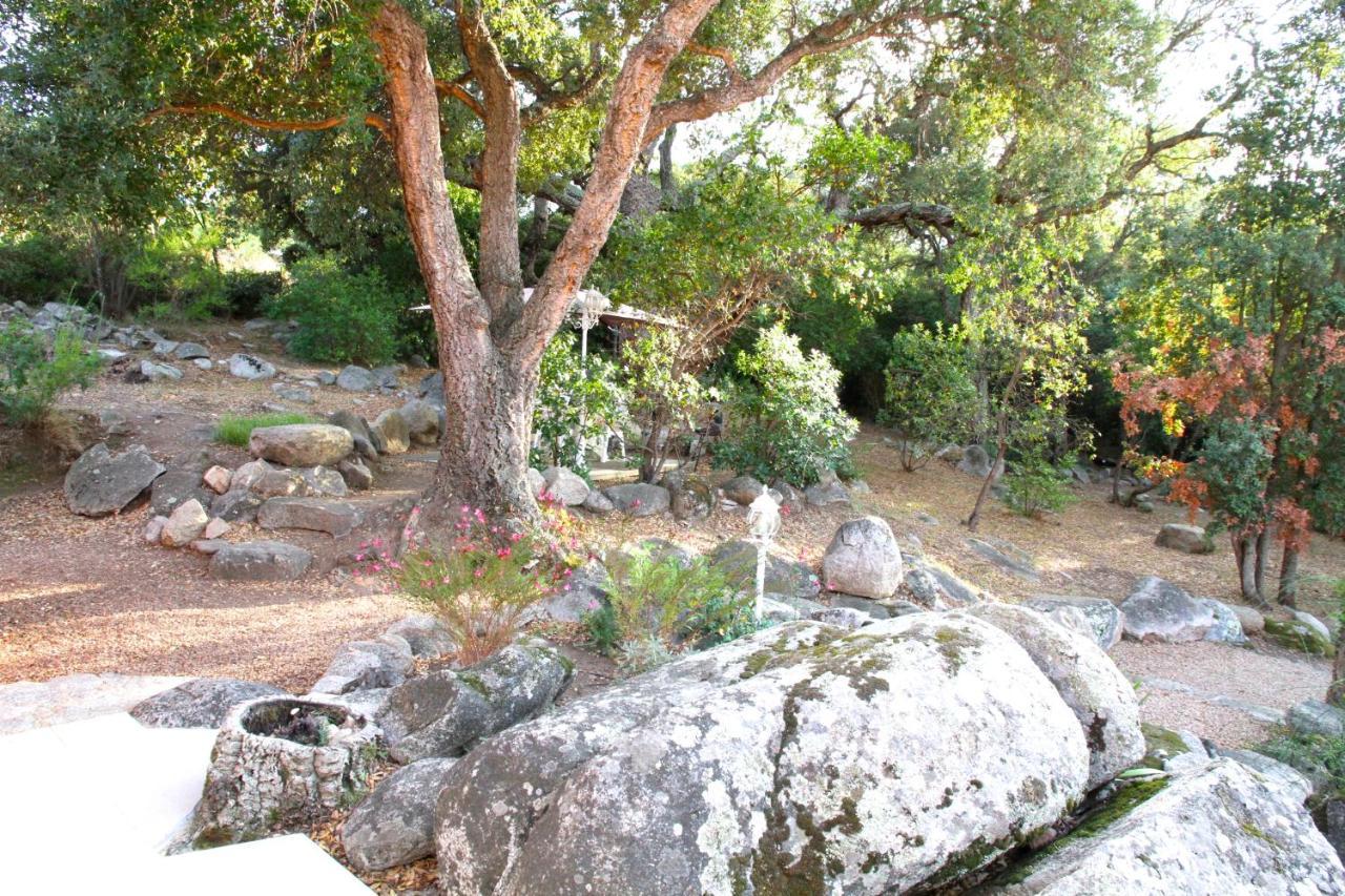 Residence Les Jardins De Sainte-Lucie "Piscine Chauffee" 外观 照片
